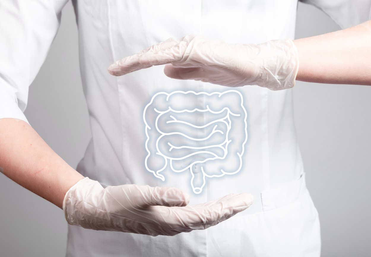 Disbiosis Intestinal