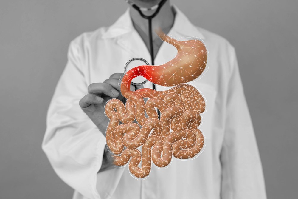 test Microbiota